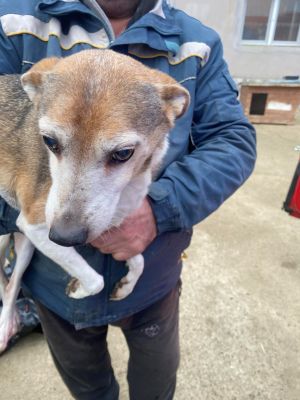 597951856 1878311873570628 6458240364980676134 n