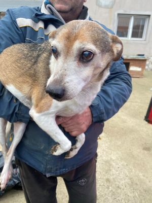 598007582 739405755310167 5556833867933692137 n