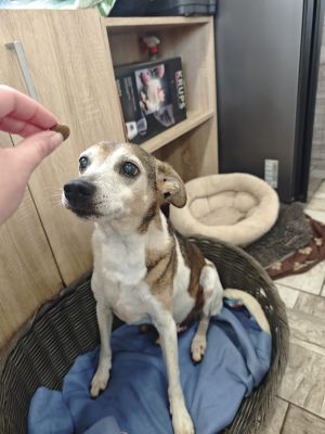 WhatsApp Bild 2025 11 21 um 17.03.53 00212cda