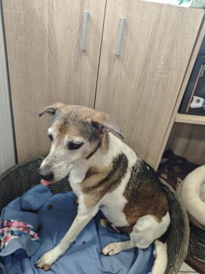 WhatsApp Bild 2025 11 21 um 17.03.53 034737aa