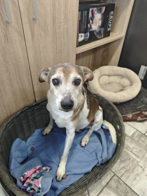 WhatsApp Bild 2025 11 21 um 17.03.53 3fc8a0eb