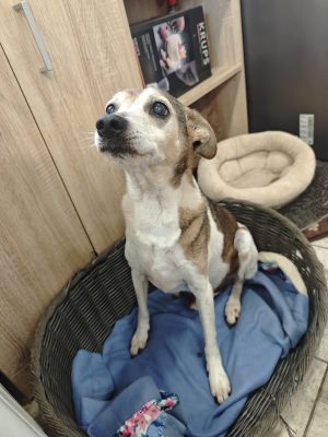 WhatsApp Bild 2025 11 21 um 17.03.53 af03f1f9