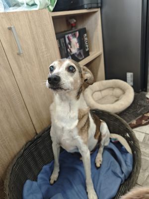 WhatsApp Bild 2025 11 21 um 17.03.53 b83b7619