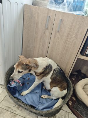 WhatsApp Bild 2025 11 21 um 17.03.54 a8a22de0