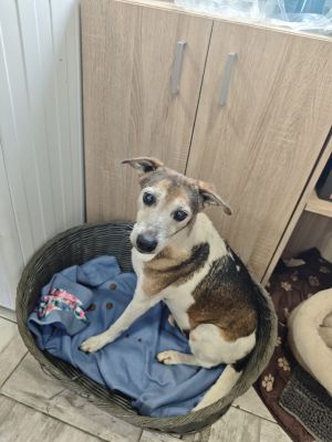 WhatsApp Bild 2025 11 21 um 17.03.54 e2305cb8