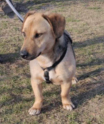 2025 02 27 21 44 21 Zauberhafte Becca ❤️ Auf Der Suche Nach Ihren Herzensmenschen In Niedersachsen