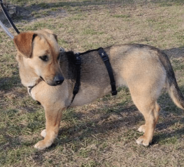 2025 02 27 21 44 25 Zauberhafte Becca ❤️ Auf Der Suche Nach Ihren Herzensmenschen In Niedersachsen