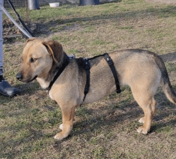 2025 02 27 21 44 29 Zauberhafte Becca ❤️ Auf Der Suche Nach Ihren Herzensmenschen In Niedersachsen