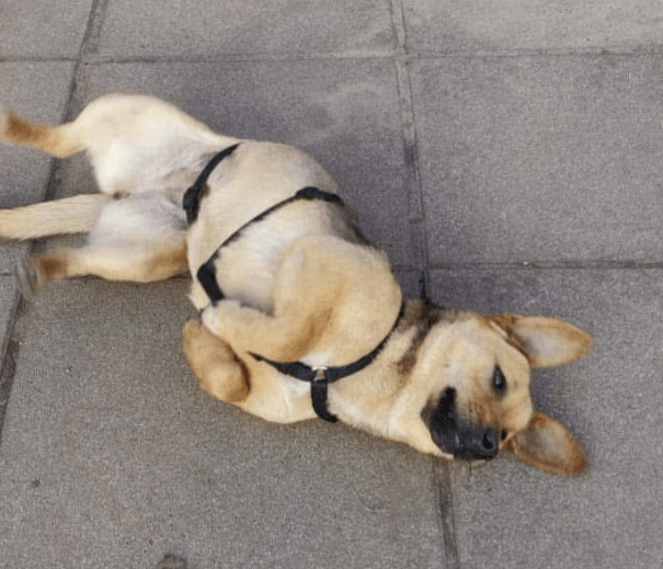 2025 02 27 21 44 34 Zauberhafte Becca ❤️ Auf Der Suche Nach Ihren Herzensmenschen In Niedersachsen