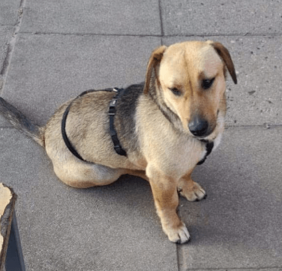 2025 02 27 21 44 43 Zauberhafte Becca ❤️ Auf Der Suche Nach Ihren Herzensmenschen In Niedersachsen