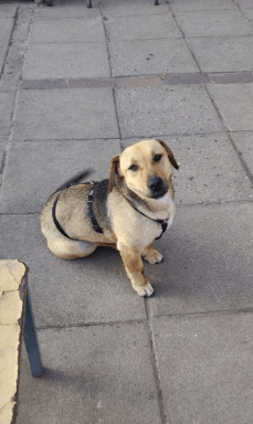 2025 02 27 21 44 47 Zauberhafte Becca ❤️ Auf Der Suche Nach Ihren Herzensmenschen In Niedersachsen