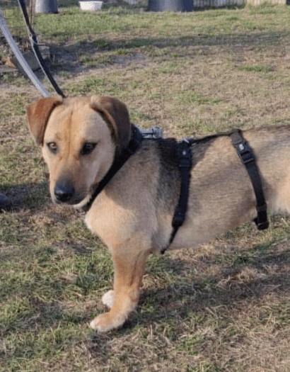 2025 02 27 21 44 51 Zauberhafte Becca ❤️ Auf Der Suche Nach Ihren Herzensmenschen In Niedersachsen