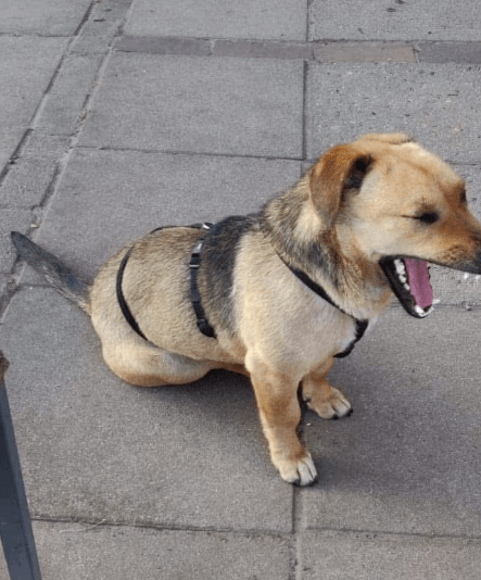 2025 02 27 21 44 57 Zauberhafte Becca ❤️ Auf Der Suche Nach Ihren Herzensmenschen In Niedersachsen