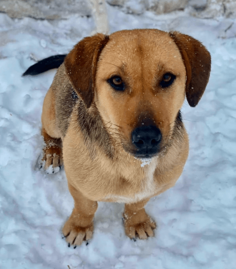 2025 02 27 21 45 06 Zauberhafte Becca ❤️ Auf Der Suche Nach Ihren Herzensmenschen In Niedersachsen