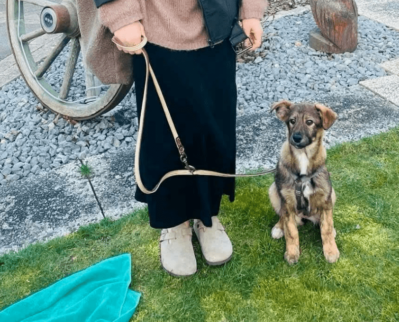 2025 03 14 14 11 37 hazel ❤️ zarte seele mit bambi blick sucht ihr glück! in bielefeld bielefeld (