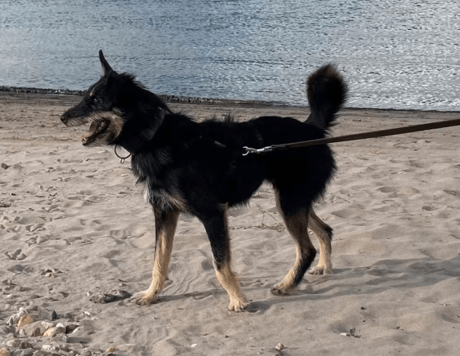 2025 09 04 16 29 49 vilma ♥️– vorsichtig im herzen, groß in ihrer liebe in duisburg duisburg süd