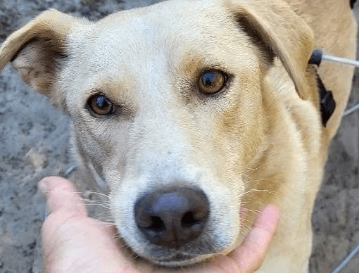 2025 09 26 10 18 11 posteingang sina.rieke kroeger@oetker.com outlook