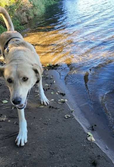 2025 09 26 10 18 16 posteingang sina.rieke kroeger@oetker.com outlook