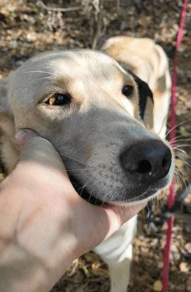 2025 09 26 10 18 21 posteingang sina.rieke kroeger@oetker.com outlook