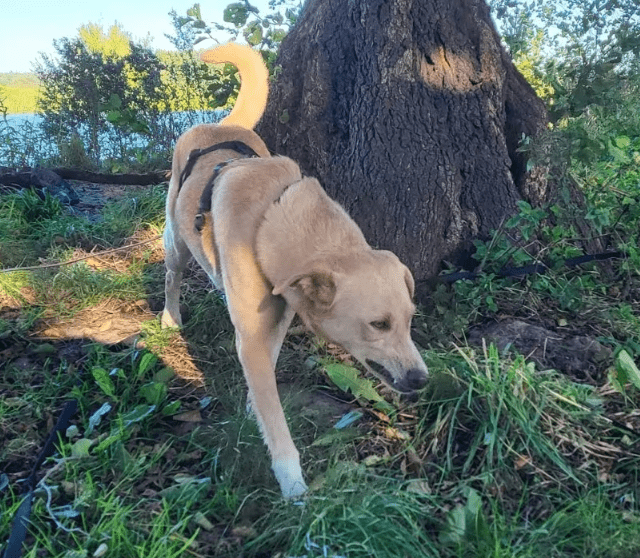 2025 09 26 10 18 26 posteingang sina.rieke kroeger@oetker.com outlook