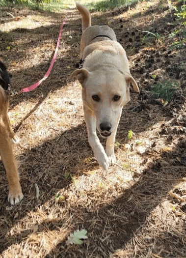 2025 09 26 10 18 30 posteingang sina.rieke kroeger@oetker.com outlook