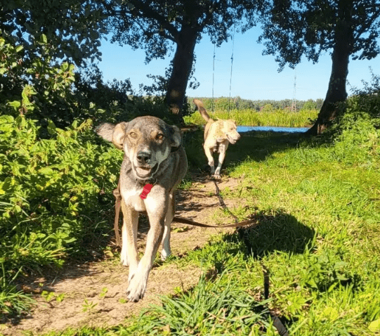 2025 09 26 10 18 37 posteingang sina.rieke kroeger@oetker.com outlook