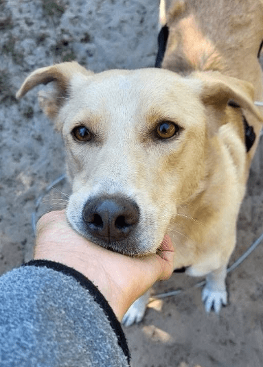 2025 09 26 10 18 42 posteingang sina.rieke kroeger@oetker.com outlook