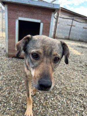 WhatsApp Bild 2025 11 22 um 10.36.51 446b271a