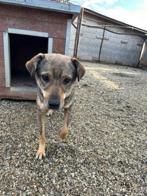 WhatsApp Bild 2025 11 22 um 10.36.51 a649651b