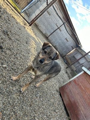 WhatsApp Bild 2025 11 22 um 10.36.51 b9edc2a1