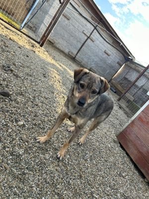 WhatsApp Bild 2025 11 22 um 10.36.52 ec456020