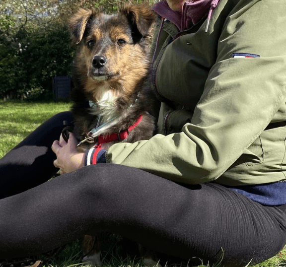 2025 04 09 20 35 17 sanfte jazzie ❤️ sucht ihren für immer menschen in niedersachsen stuhr misch