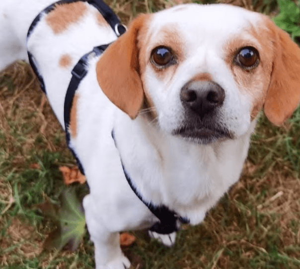 2025 11 02 15 48 54 posteingang sina.rieke kroeger@oetker.com outlook