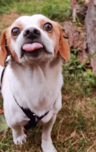 2025 11 02 15 49 00 posteingang sina.rieke kroeger@oetker.com outlook