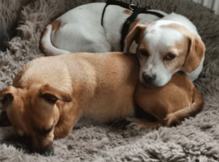 2025 11 02 15 49 06 posteingang sina.rieke kroeger@oetker.com outlook