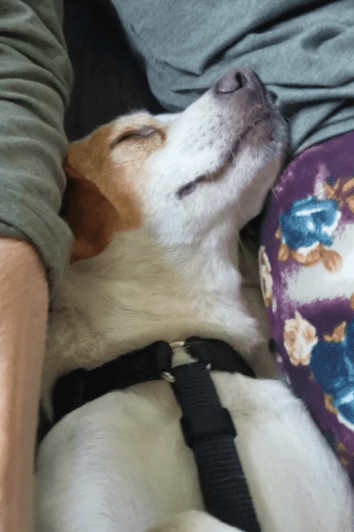 2025 11 02 15 49 12 posteingang sina.rieke kroeger@oetker.com outlook