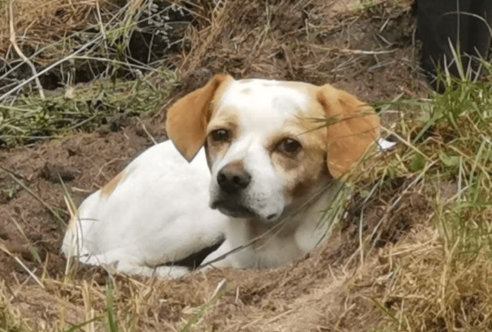 2025 11 02 15 49 17 posteingang sina.rieke kroeger@oetker.com outlook