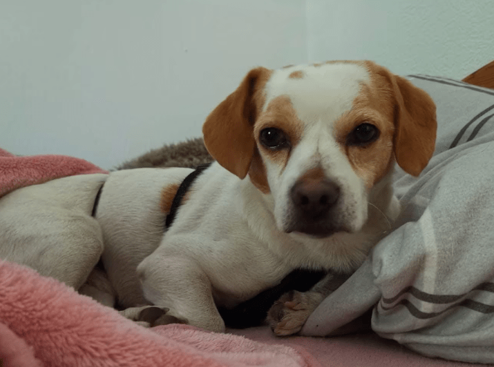 2025 11 02 15 49 23 posteingang sina.rieke kroeger@oetker.com outlook