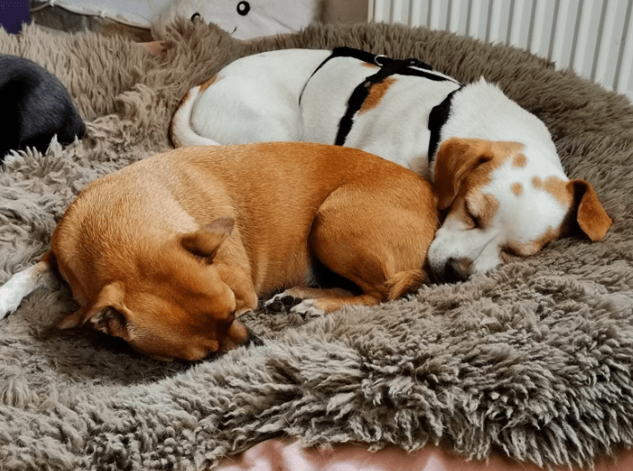 2025 11 02 15 49 32 posteingang sina.rieke kroeger@oetker.com outlook