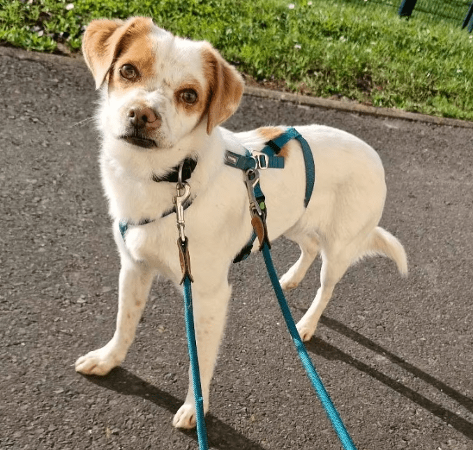 2025 11 04 16 41 26 posteingang sina.rieke kroeger@oetker.com outlook