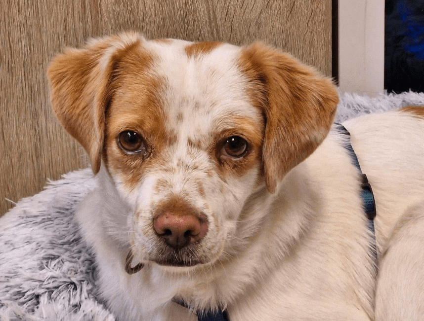 2025 11 04 16 41 30 posteingang sina.rieke kroeger@oetker.com outlook