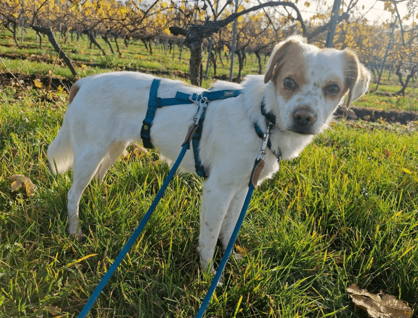 2025 11 04 16 41 35 posteingang sina.rieke kroeger@oetker.com outlook