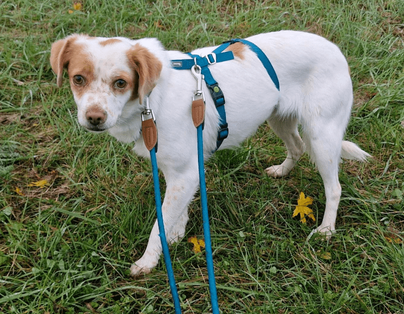 2025 11 04 16 41 39 posteingang sina.rieke kroeger@oetker.com outlook