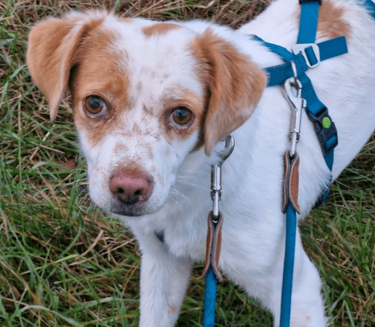 2025 11 04 16 41 46 posteingang sina.rieke kroeger@oetker.com outlook