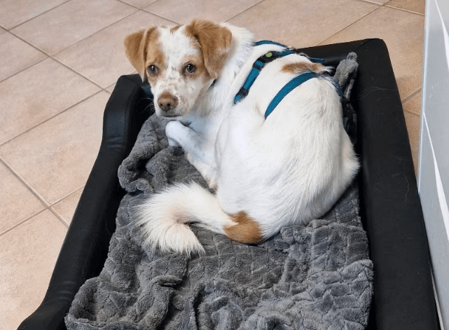 2025 11 04 16 41 51 posteingang sina.rieke kroeger@oetker.com outlook