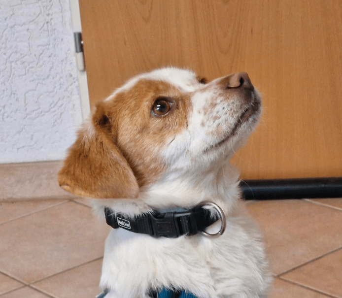 2025 11 04 16 41 56 posteingang sina.rieke kroeger@oetker.com outlook