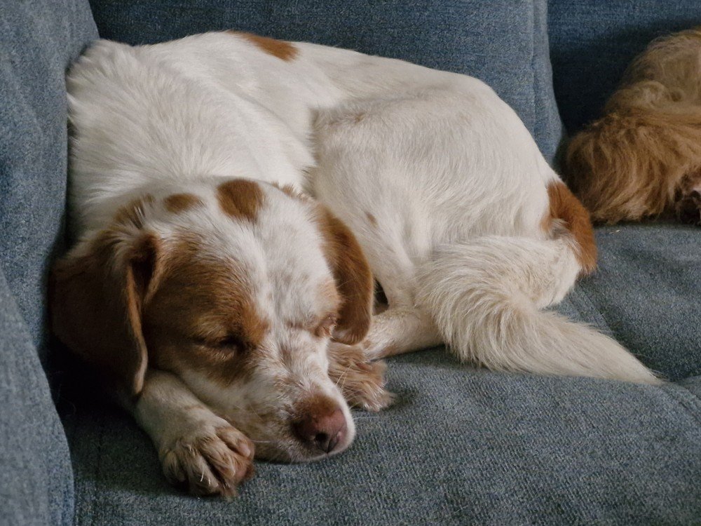 20251112 152436 copy 1000x750