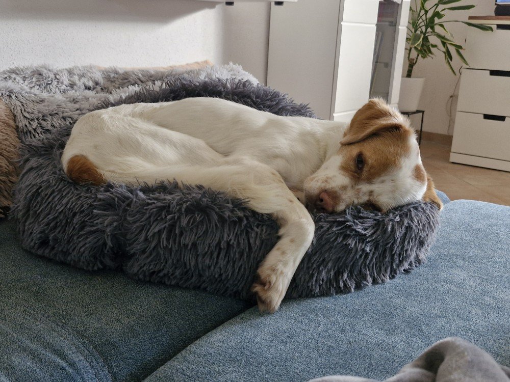 20251116 112146 copy 1000x750