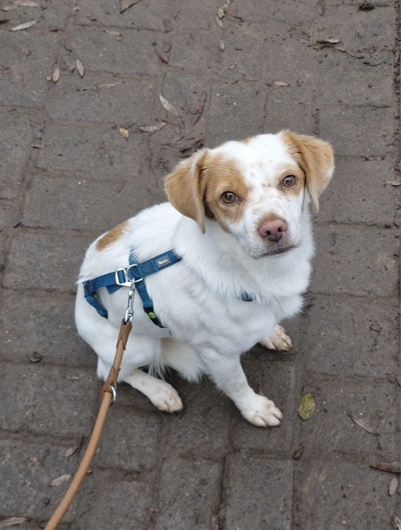 20251125 133045 copy 568x750