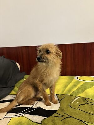 Img 1860